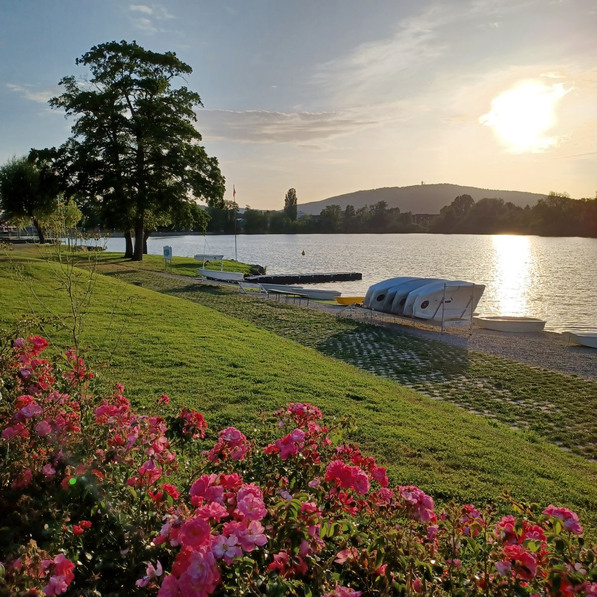 Photo la base nautique de l'étang des Forges de Belfort au coucher du soleil