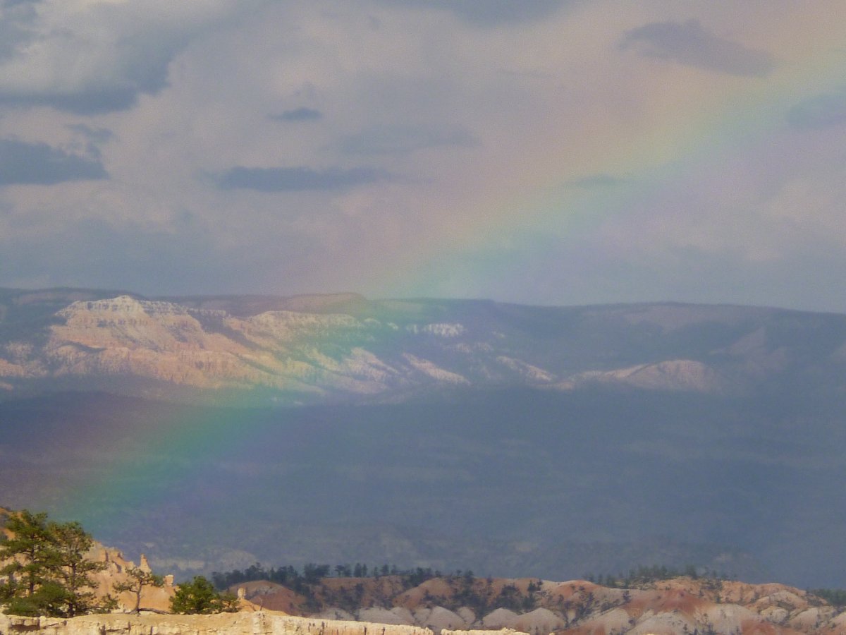 La pire version de toi-même