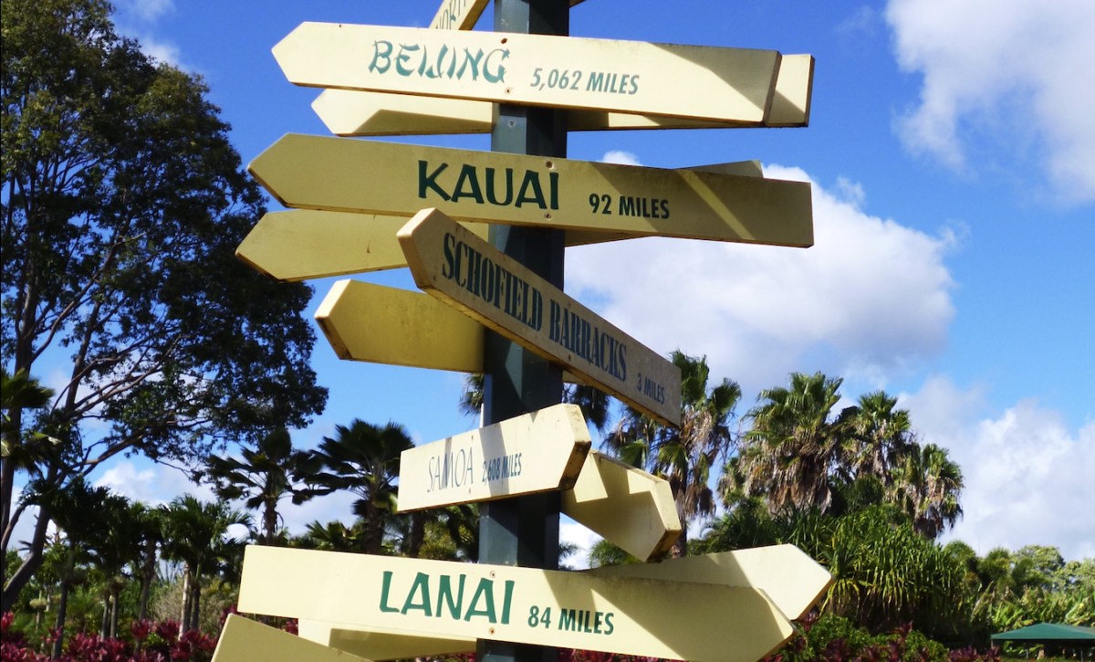 Sankalpa : l'alignement valeurs / choix