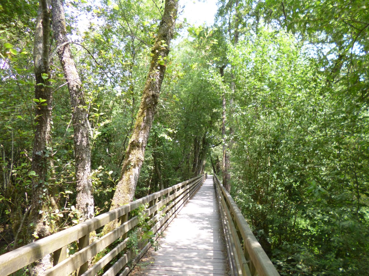 Photo de la promenade de l'étang des Forges de Belfort