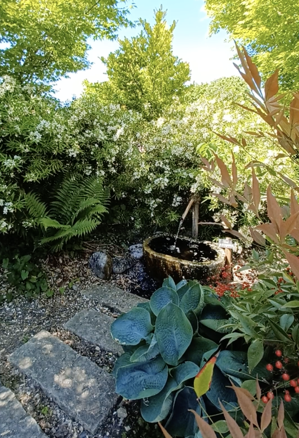 Photo du jardin zen japonais